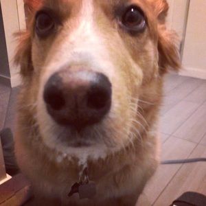 Meet your Posher, Andrew